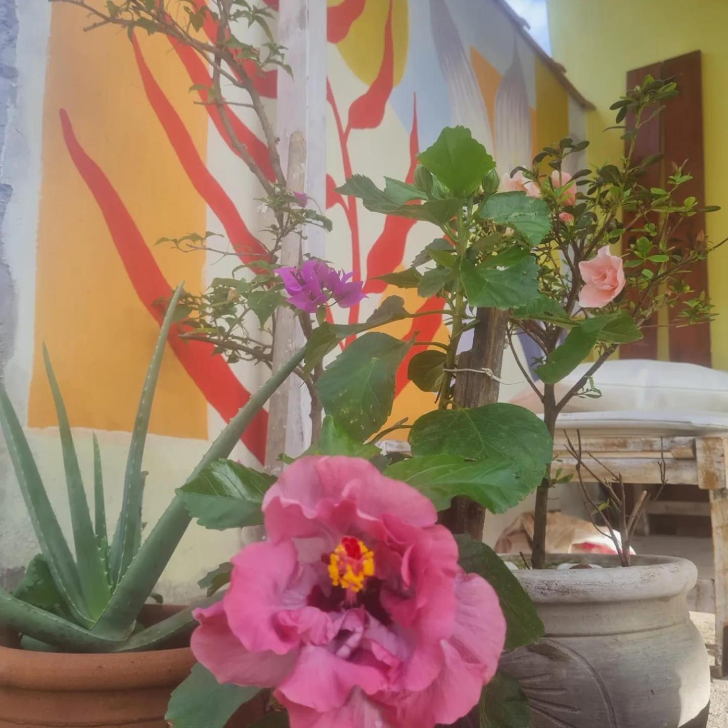 Casa Maria Flor Pensión *